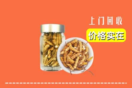鹤岗市东山回收散虫草