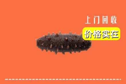鹤岗市东山回收海参