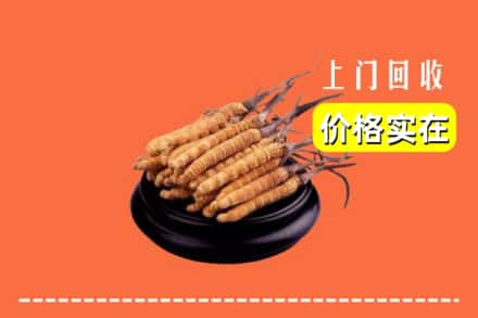鹤岗市东山回收冬虫夏草